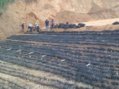 采用钢塑土工格栅垫层处理软土地基，表现为三个方面